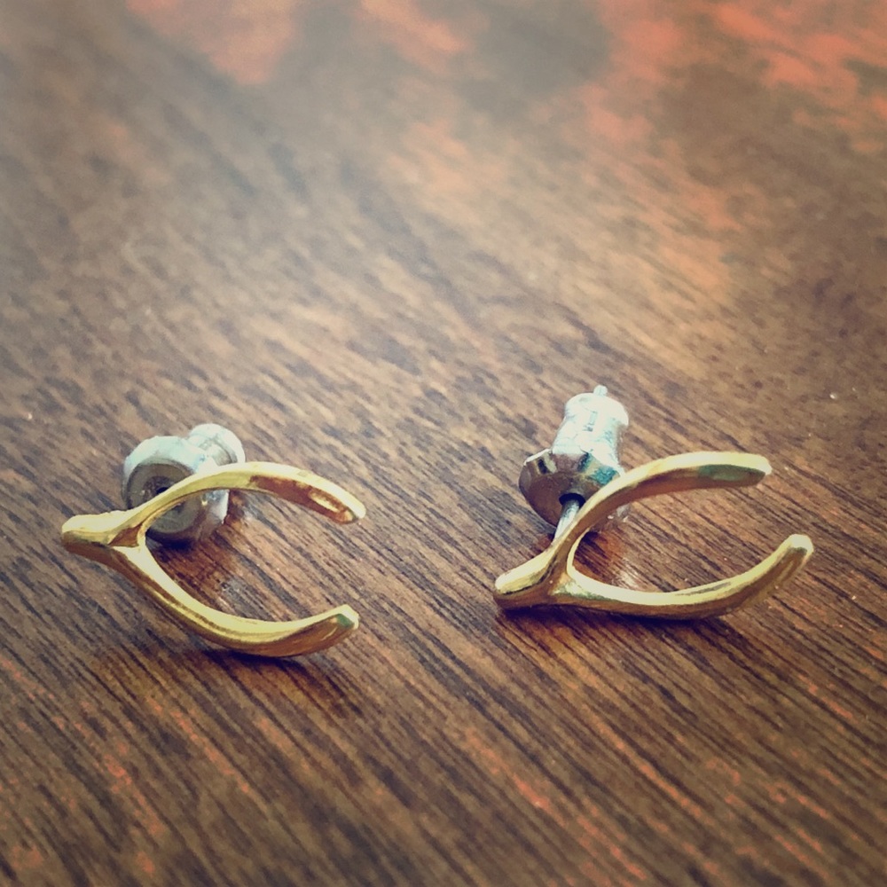Wishbone Earrings
